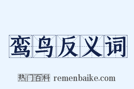 鸾鸟反义词是什么意思的图片